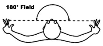 Figure 2: 180° Finger Test #1