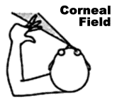 Figure 3: Corneal Finger Test #2