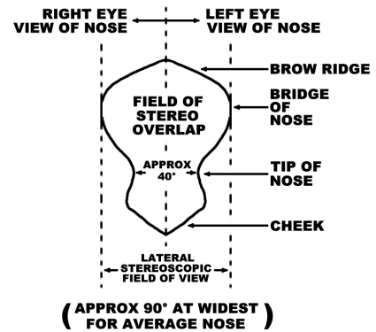 Stereoscopic Field Diagram