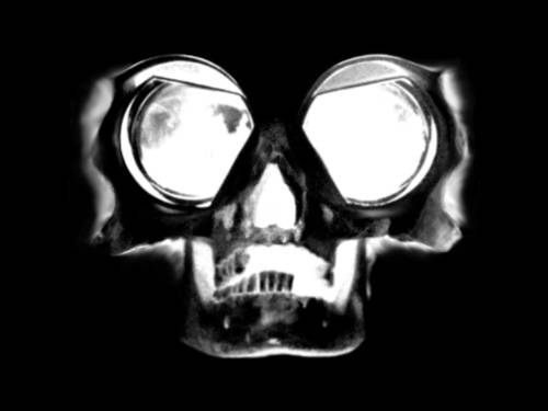 Videowrap Skull